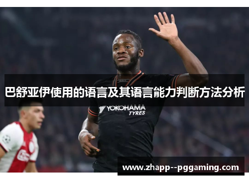 巴舒亚伊使用的语言及其语言能力判断方法分析